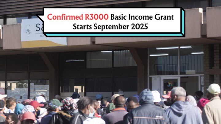 Basic Income Grant
